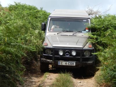 Watch out for scratches