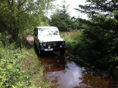 Sarn Helen 2012